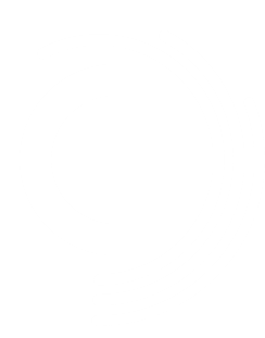 Insanjo Logo - Sales Tracking and Analytics Tool